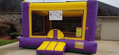 Purple and Yellow Bouncer Purple and Yellow Bouncer
